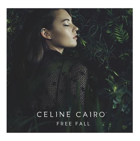 celine cairo zomer met art|celine cairo free fall.